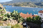 Poros | Saronic Gulf Islands | Greece  Photo 146 - Photo JustGreece.com