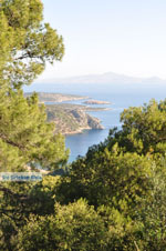 Poros | Saronic Gulf Islands | Greece  Photo 201 - Photo JustGreece.com