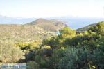 Poros | Saronic Gulf Islands | Greece  Photo 203 - Photo JustGreece.com