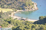 Vagionia Poros | Saronic Gulf Islands | Greece  Photo 206 - Photo JustGreece.com