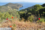 Poros | Saronic Gulf Islands | Greece  Photo 208 - Photo JustGreece.com