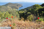 Poros | Saronic Gulf Islands | Greece  Photo 208 - Photo JustGreece.com