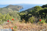 Poros | Saronic Gulf Islands | Greece  Photo 209 - Photo JustGreece.com