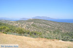Poseidon heiligdom Poros | Saronic Gulf Islands | Greece  Photo 230 - Photo JustGreece.com