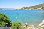 Poros | Saronic Gulf Islands | Greece  Photo 246 - Photo JustGreece.com