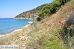 Poros | Saronic Gulf Islands | Greece  Photo 251 - Foto van JustGreece.com