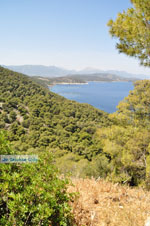 Poros | Saronic Gulf Islands | Greece  Photo 263 - Photo JustGreece.com