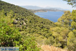 Poros | Saronic Gulf Islands | Greece  Photo 264 - Photo JustGreece.com