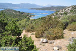 Poros | Saronic Gulf Islands | Greece  Photo 265 - Photo JustGreece.com