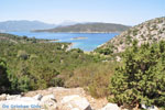 Poros | Saronic Gulf Islands | Greece  Photo 267 - Photo JustGreece.com