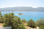 Poros | Saronic Gulf Islands | Greece  Photo 269 - Photo JustGreece.com