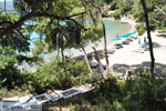 Limanaki Agapis Poros | Saronic Gulf Islands | Greece  Photo 286 - Photo JustGreece.com