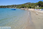 Neorio Poros | Saronic Gulf Islands | Greece  Photo 292 - Photo JustGreece.com