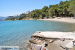 Neorio Poros | Saronic Gulf Islands | Greece  Photo 294 - Photo JustGreece.com