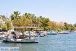 Neorio Poros | Saronic Gulf Islands | Greece  Photo 298 - Photo JustGreece.com