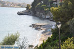 Askeli Poros | Saronic Gulf Islands | Greece  Photo 311 - Photo JustGreece.com
