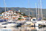 Poros | Saronic Gulf Islands | Greece  Photo 372 - Photo JustGreece.com