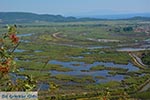 Ammoudia, Acheron delta - Prefecture Preveza -  Photo 9 - Photo JustGreece.com