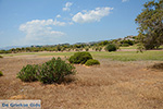 Afandou Rhodes - Island of Rhodes Dodecanese - Photo 29 - Photo JustGreece.com