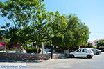 Apolakkia Rhodes - Island of Rhodes Dodecanese - Photo 77 - Photo JustGreece.com