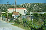 Apolakkia Rhodes - Island of Rhodes Dodecanese - Photo 81 - Photo JustGreece.com