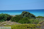 Apolakkia Rhodes - Island of Rhodes Dodecanese - Photo 83 - Photo JustGreece.com