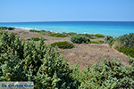 Apolakkia Rhodes - Island of Rhodes Dodecanese - Photo 88 - Photo JustGreece.com