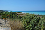 Apolakkia Rhodes - Island of Rhodes Dodecanese - Photo 89 - Photo JustGreece.com