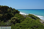 Apolakkia Rhodes - Island of Rhodes Dodecanese - Photo 93 - Photo JustGreece.com