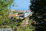 Embonas Rhodes - Island of Rhodes Dodecanese - Photo 8 - Photo JustGreece.com