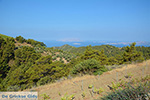 JustGreece.com Embonas Rhodes - Island of Rhodes Dodecanese - Photo 15 - Foto van JustGreece.com