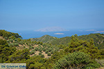 JustGreece.com Embonas Rhodes - Island of Rhodes Dodecanese - Photo 17 - Foto van JustGreece.com