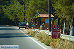 Embonas Rhodes - Island of Rhodes Dodecanese - Photo 18 - Photo JustGreece.com