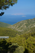 Embonas Rhodes - Island of Rhodes Dodecanese - Photo 20 - Photo JustGreece.com