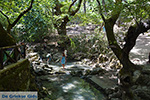 JustGreece.com Epta Piges - Seven Springs Rhodes - Island of Rhodes Dodecanese - Photo 148 - Foto van JustGreece.com