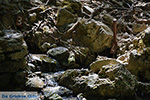 JustGreece.com Epta Piges - Seven Springs Rhodes - Island of Rhodes Dodecanese - Photo 160 - Foto van JustGreece.com
