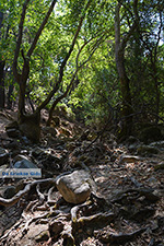 JustGreece.com Epta Piges - Seven Springs Rhodes - Island of Rhodes Dodecanese - Photo 163 - Foto van JustGreece.com