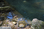 JustGreece.com Epta Piges - Seven Springs Rhodes - Island of Rhodes Dodecanese - Photo 171 - Foto van JustGreece.com