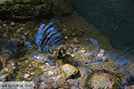 JustGreece.com Epta Piges - Seven Springs Rhodes - Island of Rhodes Dodecanese - Photo 172 - Foto van JustGreece.com