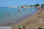Faliraki Rhodes - Island of Rhodes Dodecanese - Photo 223 - Photo JustGreece.com