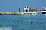 Faliraki Rhodes - Island of Rhodes Dodecanese - Photo 226 - Photo JustGreece.com
