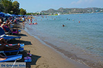 Faliraki Rhodes - Island of Rhodes Dodecanese - Photo 227 - Photo JustGreece.com