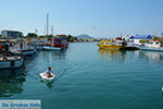 JustGreece.com Faliraki Rhodes - Island of Rhodes Dodecanese - Photo 238 - Foto van JustGreece.com