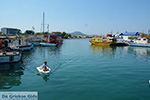 Faliraki Rhodes - Island of Rhodes Dodecanese - Photo 238 - Photo JustGreece.com