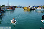 JustGreece.com Faliraki Rhodes - Island of Rhodes Dodecanese - Photo 239 - Foto van JustGreece.com