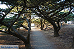 JustGreece.com Filerimos Rhodes - Island of Rhodes Dodecanese - Photo 303 - Foto van JustGreece.com