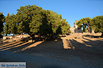 JustGreece.com Filerimos Rhodes - Island of Rhodes Dodecanese - Photo 366 - Foto van JustGreece.com