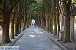JustGreece.com Filerimos Rhodes - Island of Rhodes Dodecanese - Photo 373 - Foto van JustGreece.com