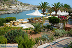 JustGreece.com Kalithea Rhodes - Island of Rhodes Dodecanese - Photo 520 - Foto van JustGreece.com
