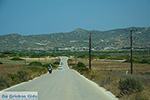 JustGreece.com Kattavia Rhodes - Prasonisi Rhodes - Island of Rhodes Dodecanese - Photo 639 - Foto van JustGreece.com
